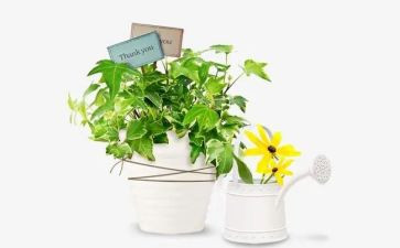 公园绿化工作总结范文6篇