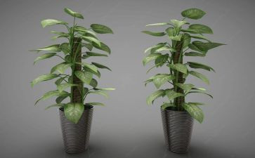 绿化队工作总结推荐5篇