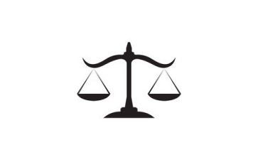 律师年度活动总结8篇