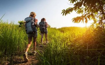 幼儿园大班去旅行教案5篇