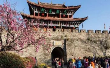 旅游日活动总结6篇