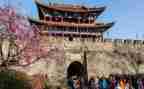 大旅游调研报告8篇