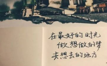 忙与闲作文800字记叙文最新7篇