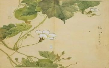 引用氓的作文5篇