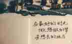忙与闲作文800字记叙文最新7篇