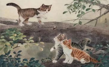 猫和狗的作文30字通用5篇