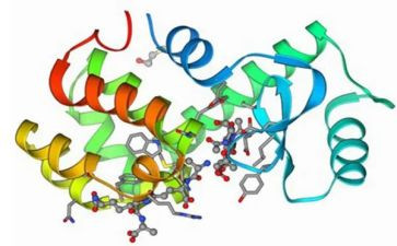 酶工程心得精选7篇