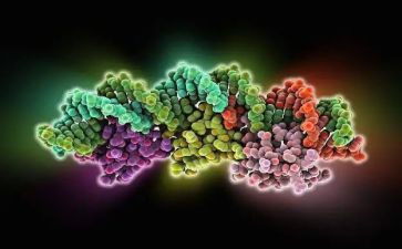 酶实验心得体会优秀6篇