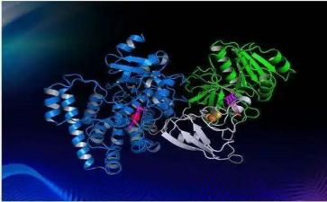 酶实验心得体会7篇