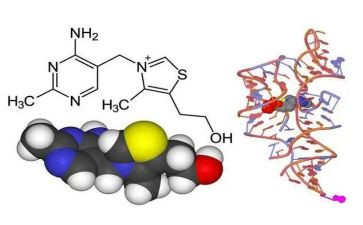 酶工程心得体会推荐5篇