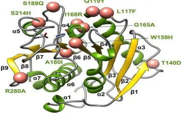 酶实验心得体会参考6篇