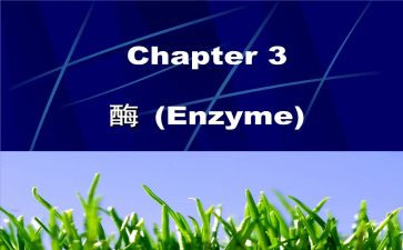 酶工程心得体会8篇