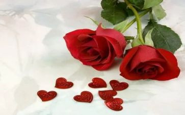 玫瑰与读后感7篇