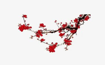 爱梅花说作文6篇