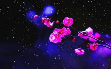 爱梅花说作文模板6篇