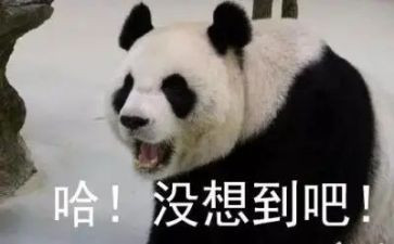 没想到()作文精选8篇