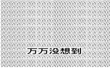 没想到我真没想到作文通用6篇