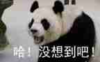 没想到()作文精选8篇