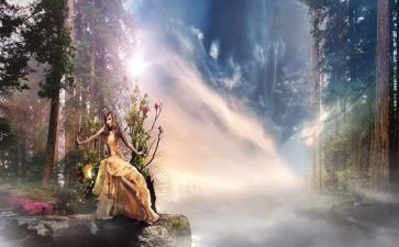 爱丽丝的梦游仙境读后感模板8篇