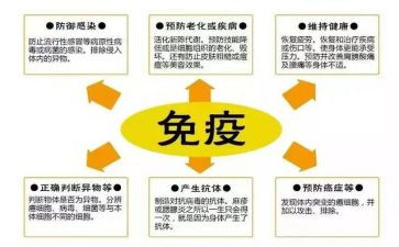 2024年计划免疫年终总结6篇