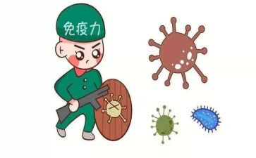 免疫工作计划6篇