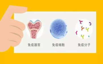 计划免疫年终总结5篇