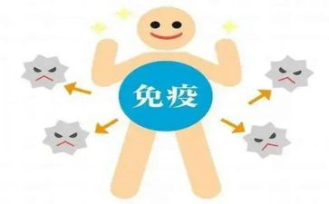 免疫工作年终总结6篇