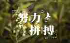 名人优秀事迹和优秀作文8篇