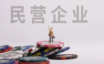 民营企业工作总结8篇