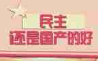 民主评议党支部表工作总结5篇
