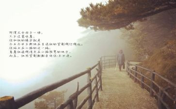 《目送》目送读后感模板5篇