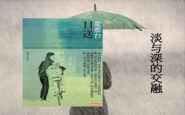 《目送》读书心得体会最新7篇