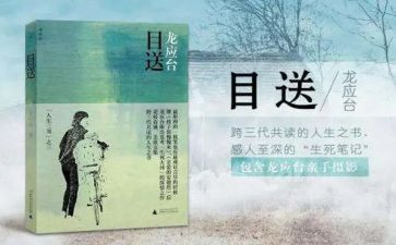 《目送》目送读后感优质7篇