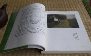 读目送的读后感1000字8篇