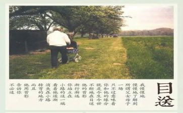 《目送》目送读后感参考5篇