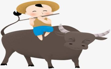 牧童音乐课教案6篇