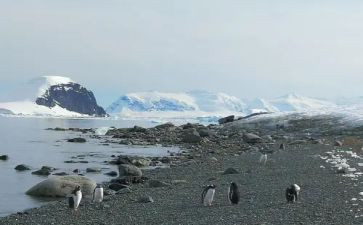 南极观后感优质5篇