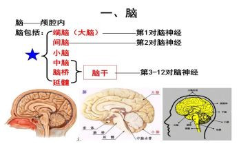 介绍电脑的作文600最新5篇