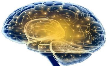 电脑的利与弊调查报告5篇