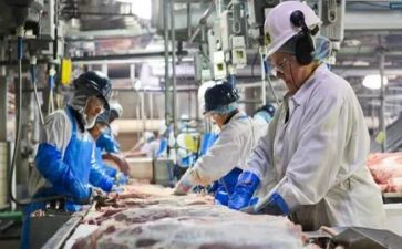肉类购销合同5篇