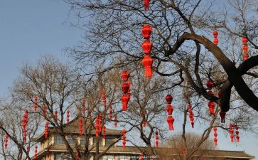 年味的作文500字7篇
