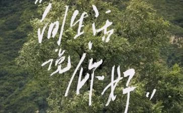 《你好》作文600字精选6篇