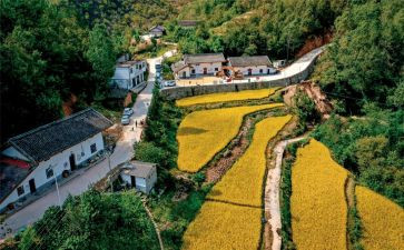 宁陕法院调研报告6篇