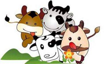 牛的幼儿教案优秀6篇