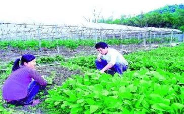 农技培训心得体会6篇