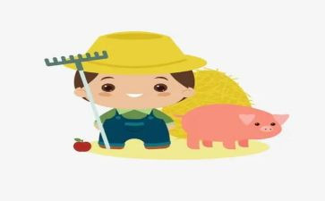 农民画培训工作总结6篇