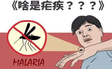 疟疾活动方案5篇