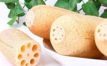 莲和藕教案精选6篇