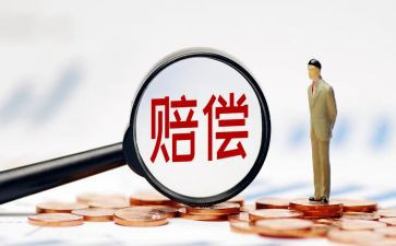 赔偿申请书7篇