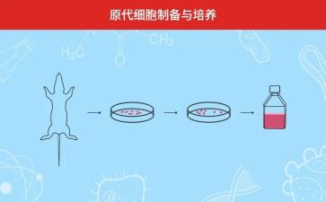 培养孩子劳动心得体会6篇